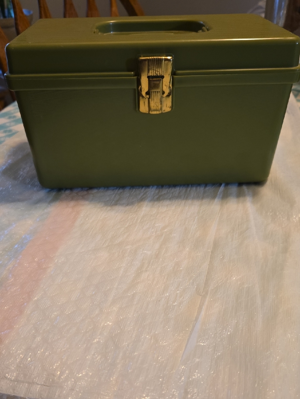 Wilson Olive Green Plastic Storage Box with Gold Latch